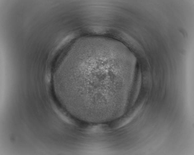 X0000113000072200909101805