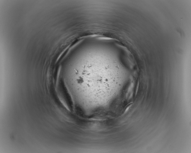 X0000113000074200909101805