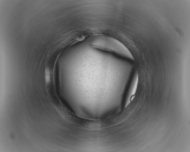 X0000113000075200909101805