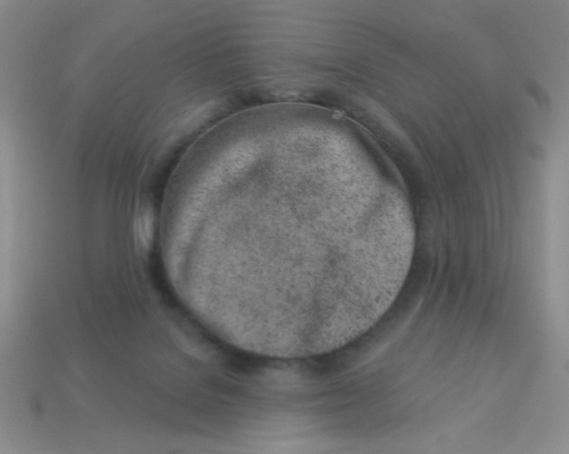 X0000113000076200909101805