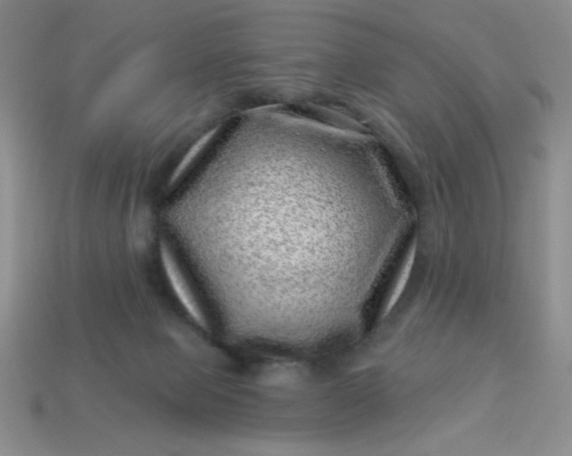 X0000113000077200909101805