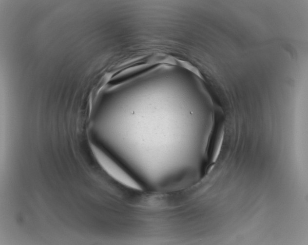 X0000113000078200909101805