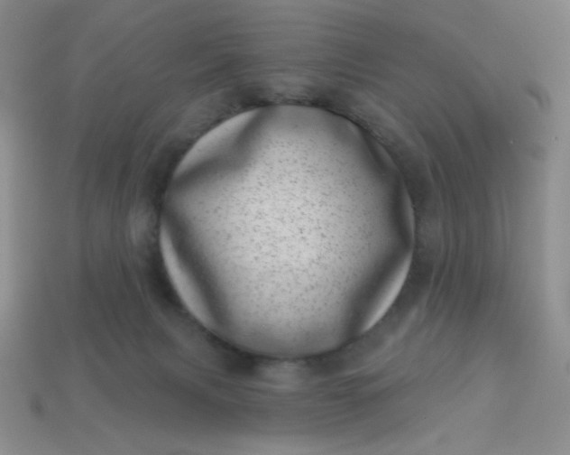 X0000113000079200909101805