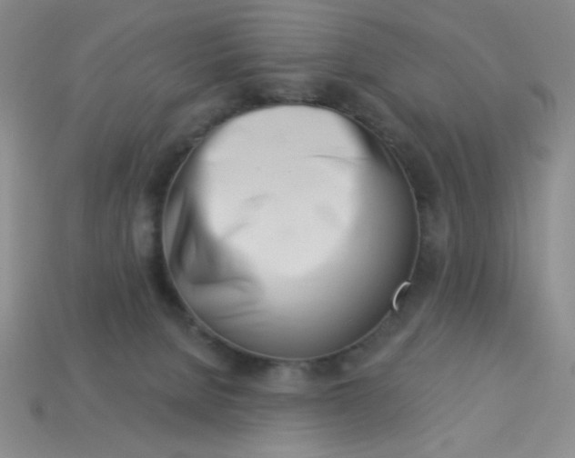 X0000113000080200909101805