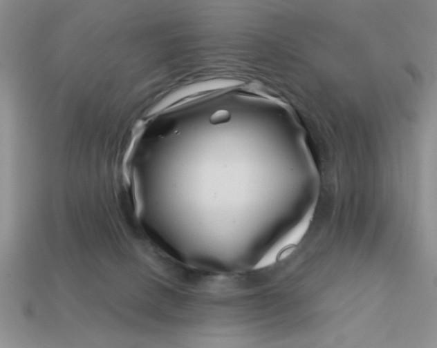 X0000113000082200909101805