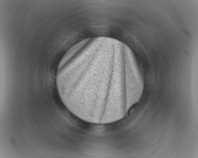 X0000113000083200909101805