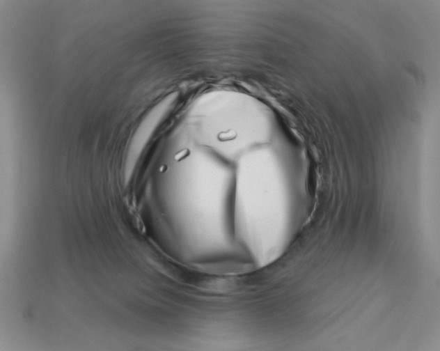 X0000113000084200909101805