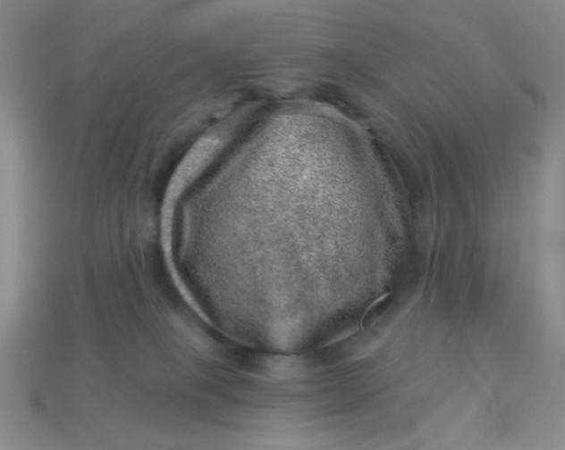 X0000113000085200909101805