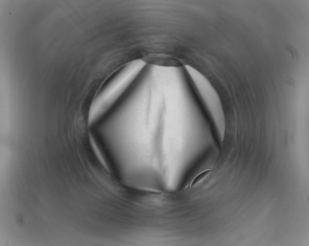 X0000113000086200909101805