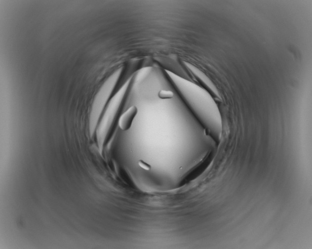 X0000113000088200909101805