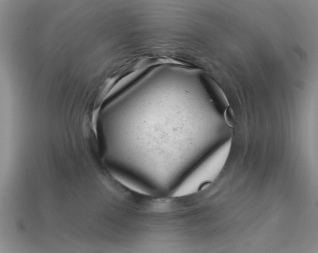 X0000113000090200909101806