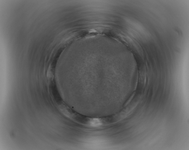 X0000113000091200909101806