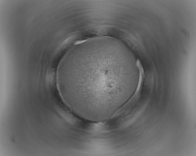 X0000113000092200909101806