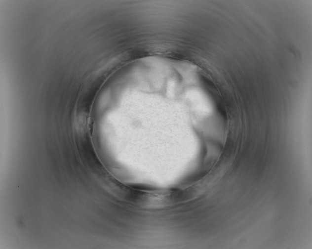 X0000113000093200909101806