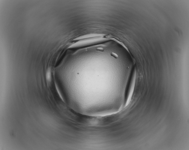 X0000113000094200909101806