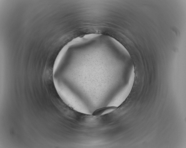 X0000113000096200909101806