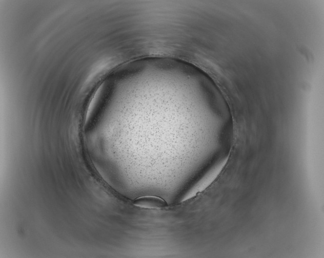 X0000113000098200909101805