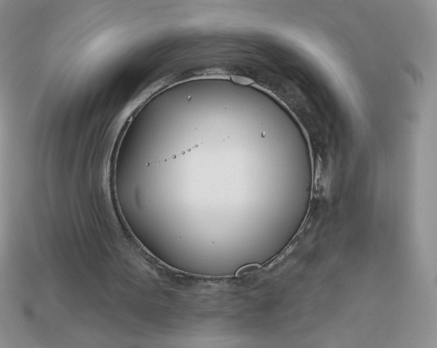 X0000113000099200909101805