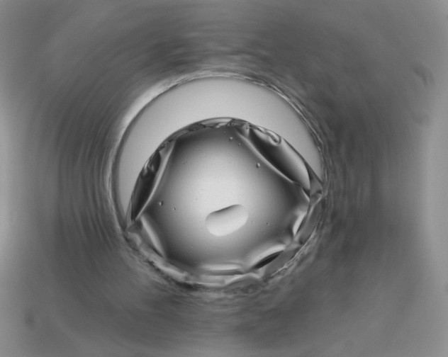 X0000113000100200909101805