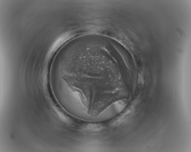 X0000113000101200909101805