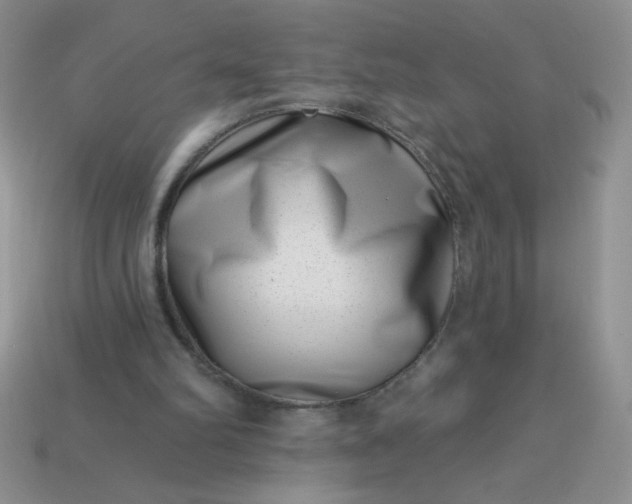 X0000113000102200909101805