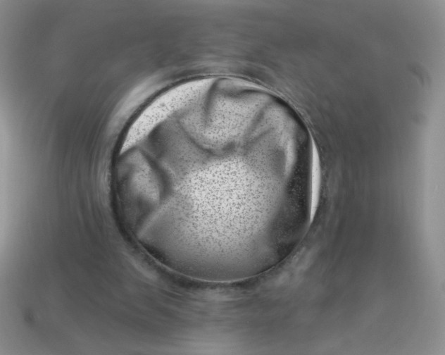 X0000113000103200909101805