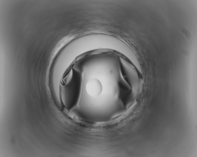 X0000113000104200909101805