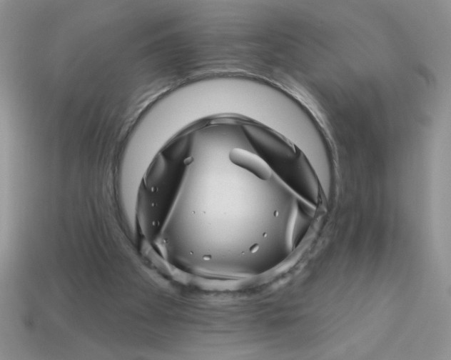 X0000113000105200909101805