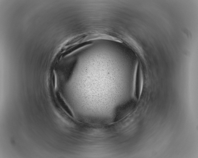 X0000113000107200909101805