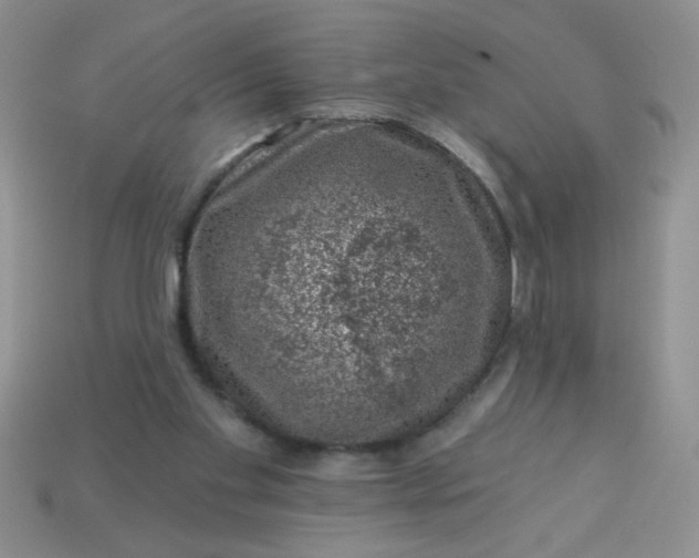 X0000113000109200909101805