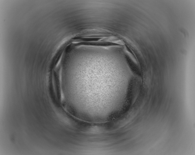 X0000113000111200909101805