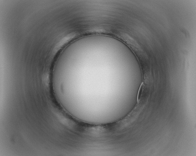 X0000113000112200909101805