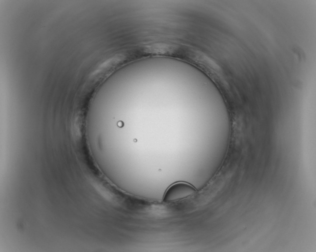 X0000113000114200909101805