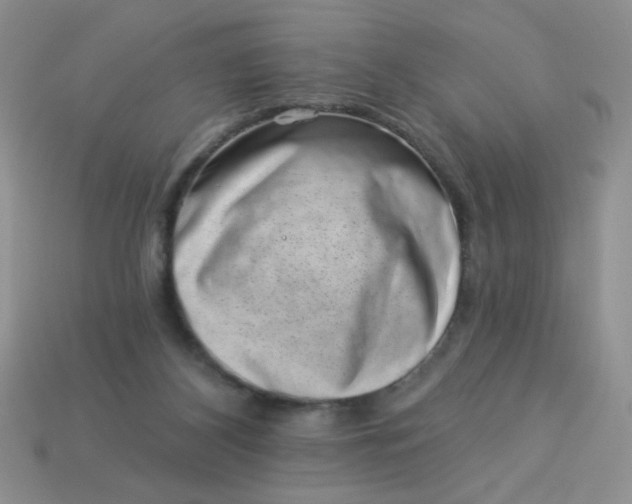 X0000113000116200909101805