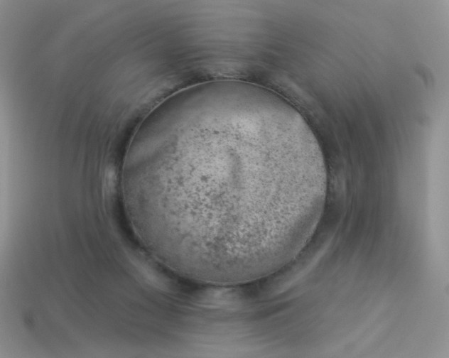 X0000113000117200909101805