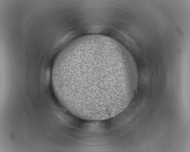 X0000113000118200909101805