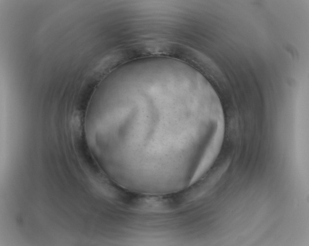 X0000113000121200909101805