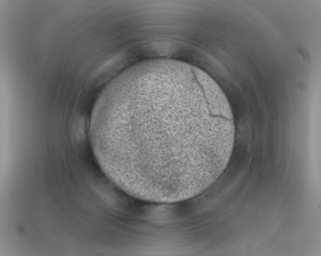 X0000113000122200909101805