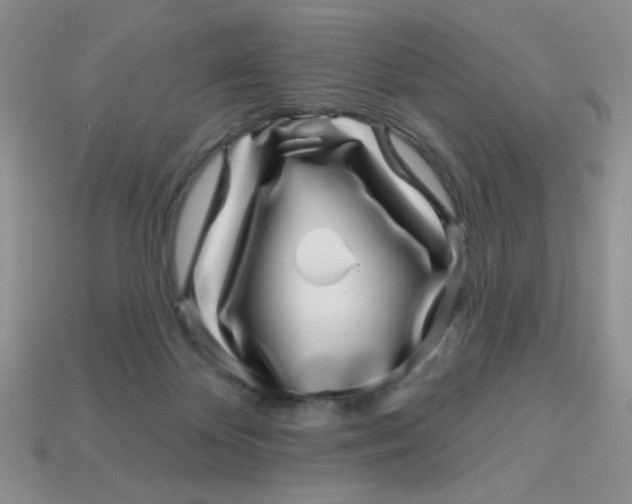 X0000113000124200909101805