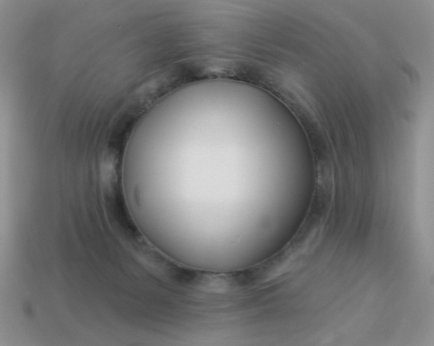 X0000113000127200909101804