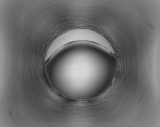 X0000113000128200909101804