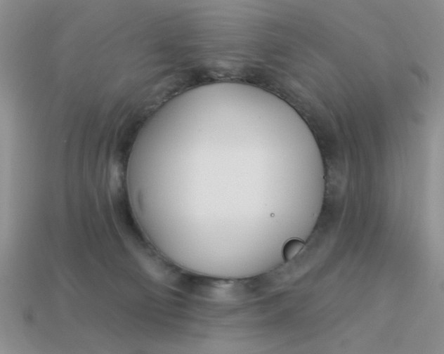 X0000113000130200909101804