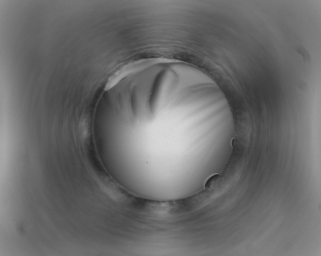 X0000113000131200909101804