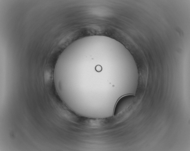 X0000113000134200909101804