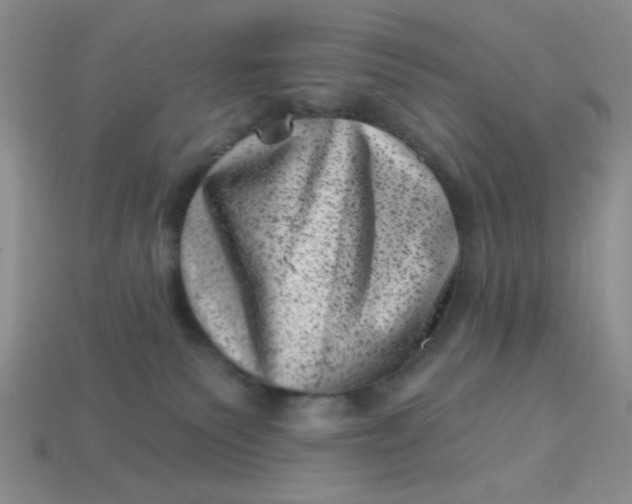 X0000113000135200909101804