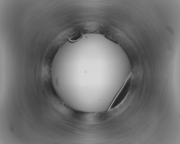 X0000113000136200909101804