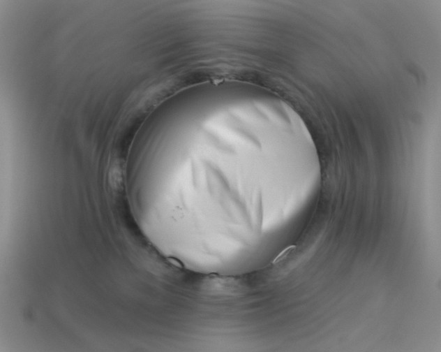 X0000113000137200909101804