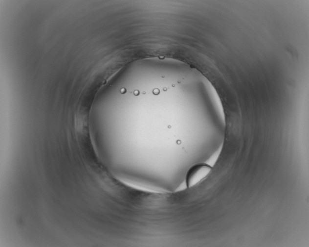 X0000113000138200909101804