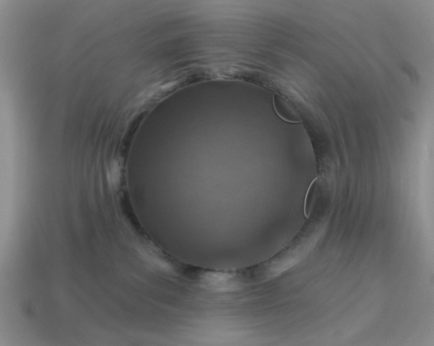 X0000113000139200909101804