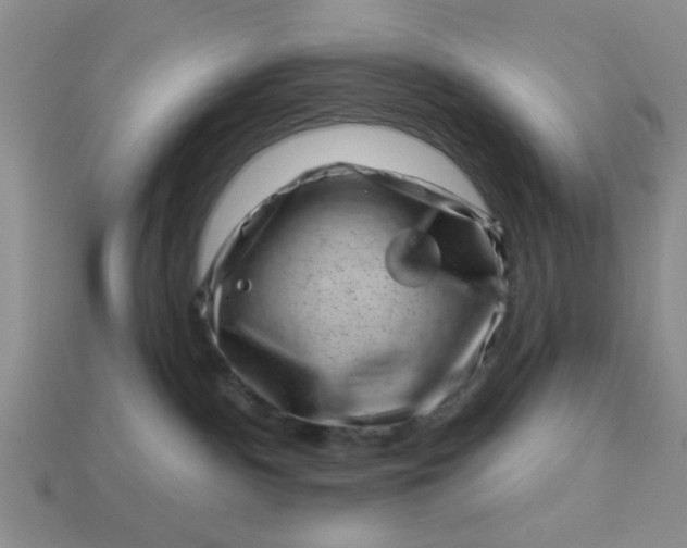 X0000113000140200909101804